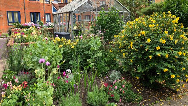 Vivian Harris Nicest Communal Garden (