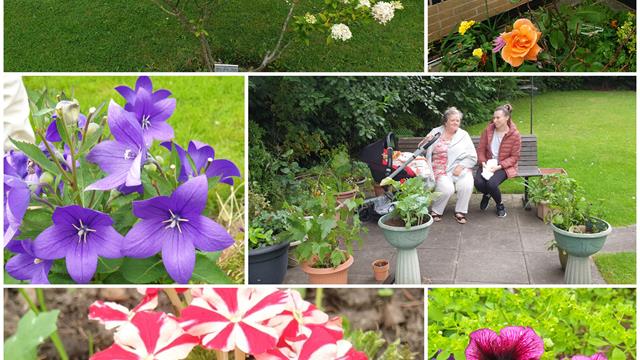 Anne Pover Nicest Communal Garden