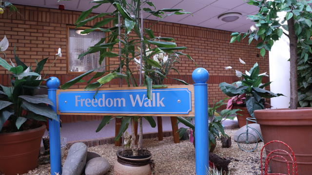 Freedom Walk (7)