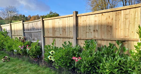 Scheme Walkabouts Fence