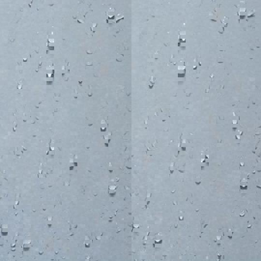 Damp