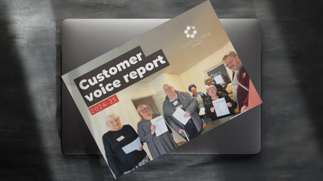 Customer Voice Report Image