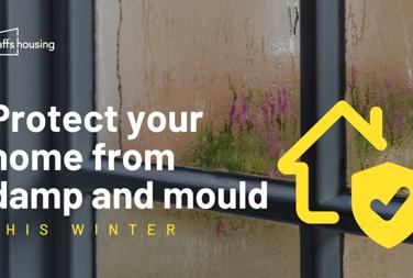 Damp And Mould Article Image