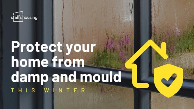 Damp And Mould Article Image