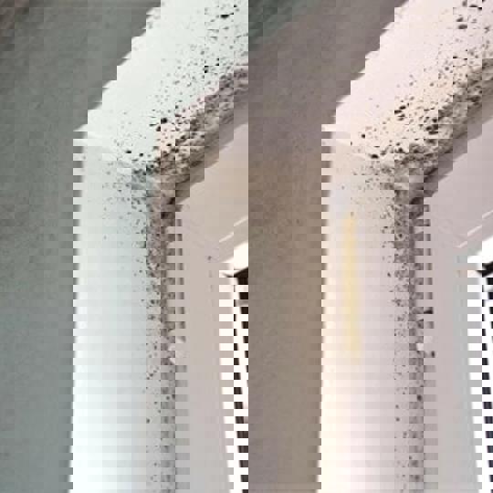 Mould