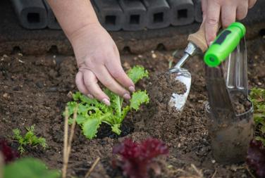 Gardening Maintenance